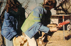 The process of "drenching."